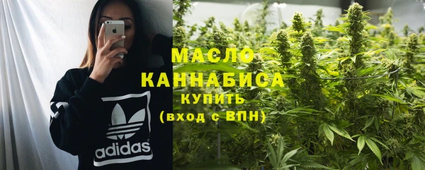 шишки Аркадак