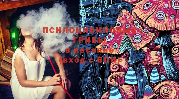 ГАЛЛЮЦИНОГЕННЫЕ ГРИБЫ Армянск
