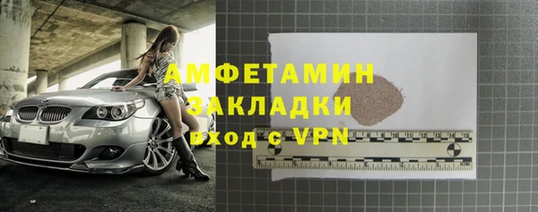 шишки Аркадак