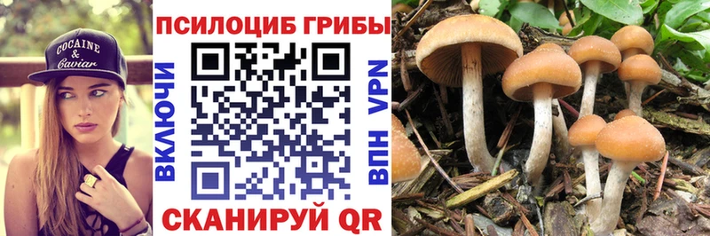 Галлюциногенные грибы MAGIC MUSHROOMS  Пустошка 